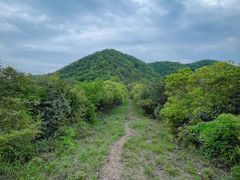 -杭州半山国家森林公园