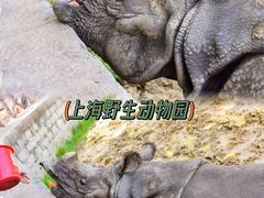 -上海野生动物园