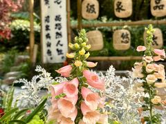 -济南森林公园