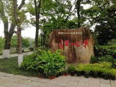 -江心屿景区