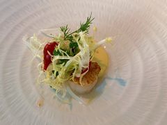 -蝶舍·MAISON PAPILLON