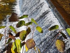 -陕西省红河谷森林公园