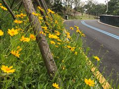 -飞凤山奥体公园