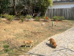 -南山风景名胜区