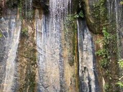 -西双版纳原始森林公园