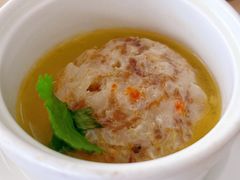 -扬州大运河文化旅游度假区·盆景园