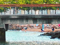 -深圳湾公园(南山区)