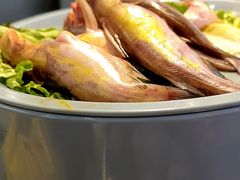 -大橘元自助回转火锅(天河新天地店)