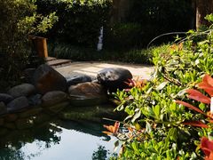 -张家港金凤凰度假村温泉