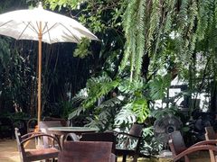 -Fern Forest Cafe