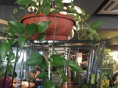 -去茶去餐厅(中央大街店)
