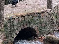 -驼梁风景区