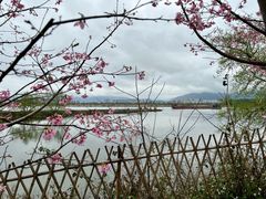 -福建鲤鱼洲酒店