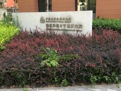 -中国建筑科学研究院科研试验大楼