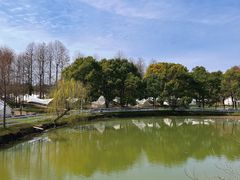 -上海海湾国家森林公园