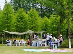 -上海长兴岛郊野公园