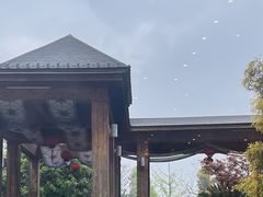 -成都安仁福朋喜来登酒店