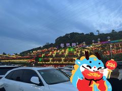 -枇杷园食为鲜火锅(南山店)