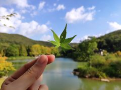 -南山风景名胜区