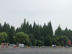 -东平国家森林公园
