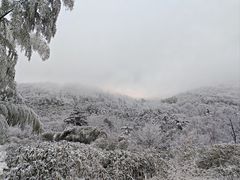 -安吉龙王山风景区