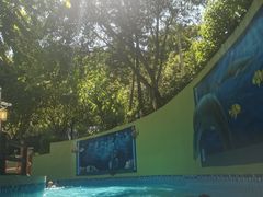 -重庆海昌加勒比海水世界