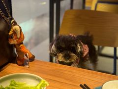 -烧肉达人•炭火烧肉(新天地店)