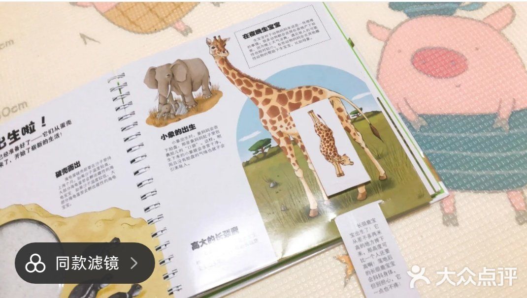 有趣的动物百科