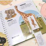 有趣的动物百科