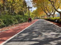 -宜兴龙背山森林公园