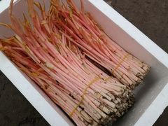 -浙江大学医学院附属第二医院(解放路院区)