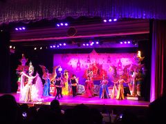 -金东尼人妖秀