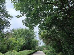 -府君山公园