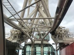 -墨尔本之星 观景摩天轮