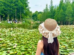 -白鹭湾湿地公园