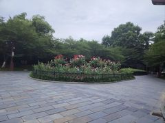 -堤角公园