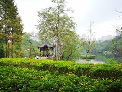 -重庆彩云湖湿地公园