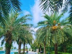 -惠州金海湾嘉华度假酒店