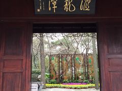 -汇龙潭
