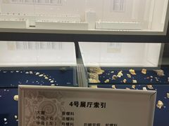 -青岛贝壳博物馆