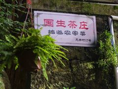 -国生茶庄·地道农家菜团建活动