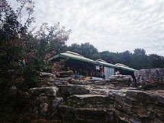 -北京西山国家森林公园