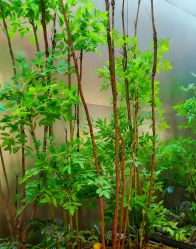 -好友缘酒家·宴会厅(西大店)