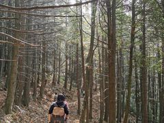 -丰都鬼城名山景区