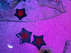 -沈阳海洋探索中心