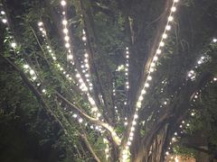 -莓园冰淇淋店