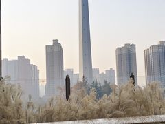 -陕西广播电视塔