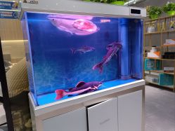 点击看大图 -宝诗护肤造型