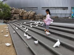 -烟台海昌鲸鲨海洋公园