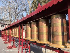 -护国法轮寺
